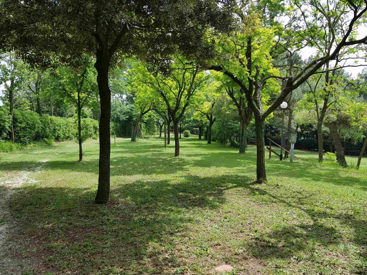 Camping Paradiso Pesaro Eksteriør bilde