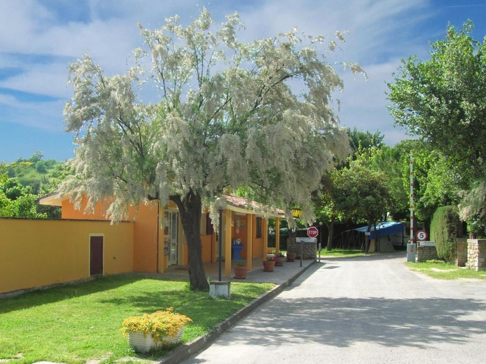 Camping Paradiso Pesaro Eksteriør bilde